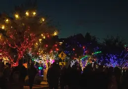 Fountain Hills Stroll In The Glow 20231202 21