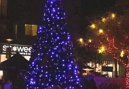 Fountain Hills Stroll In The Glow 20231202 26