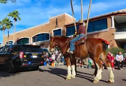 Fountain Hills Thanksgiving Day Parade 20251127 31
