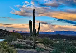 Four Peaks Snow January 2024 21