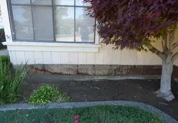 Front Trim Replacement 2015 05