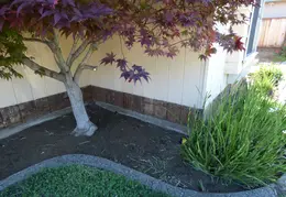 Front Trim Replacement 2015 06