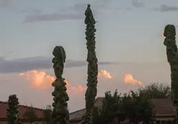 Haboob Chandler AZ 20220902 11