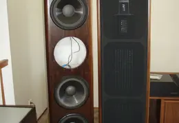 Woofer Refurbishing 2010 0001