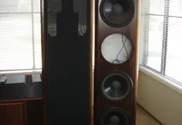 Woofer Refurbishing 2010 0002
