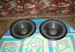 Woofer Refurbishing 2010 0004