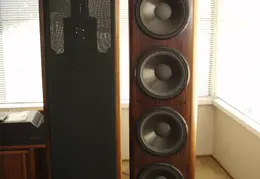 Woofer Refurbishing 2010 0005