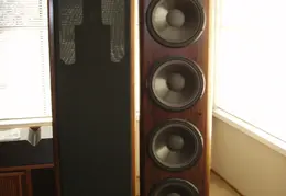 Woofer Refurbishing 2010 0006