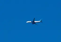 IMG 8221