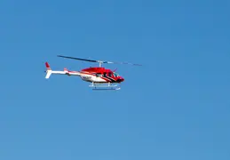 IMG 8238