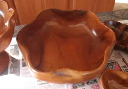 MonkeyPod 0006