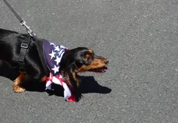 Neighborhood 4th of July Parade 2021 037