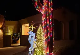 Neighborhood Christmas Lights 2021 005