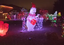 Neighborhood Christmas Lights 2021 028