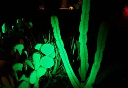 Neighborhood Christmas Lights 2022 04