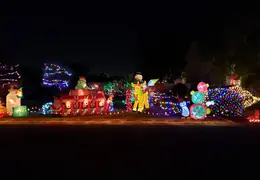 Neighborhood Christmas Lights 2022 16