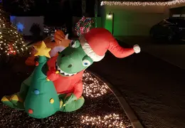 Neighborhood Christmas Lights 2022 18