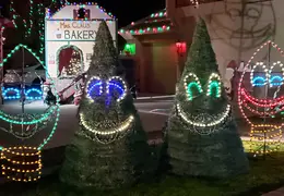 Neighborhood Christmas Lights 2022 29