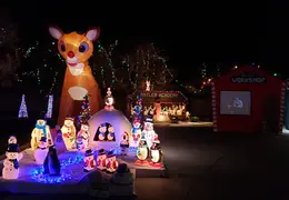 Neighborhood Christmas Lights 2022 31