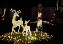 Neighborhood Christmas Lights 2022 36