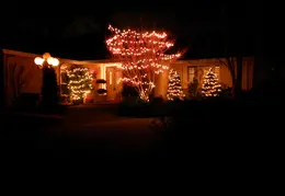 Neighbors Xmas Lights Dec 2009 06
