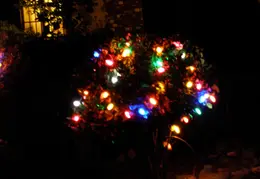 Neighbors Xmas Lights Dec 2009 08
