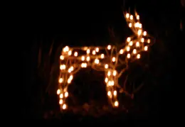 Neighbors Xmas Lights Dec 2009 11