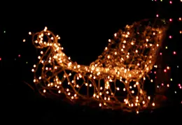 Neighbors Xmas Lights Dec 2009 27