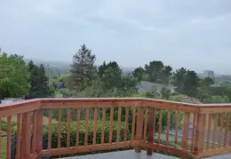 Oak Tree Trimming June 2015 013