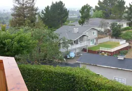 Oak Tree Trimming June 2015 017