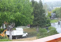 Oak Tree Trimming June 2015 021