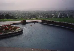 House Ducks Visiting In Rain