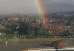 Rainbow and Pool