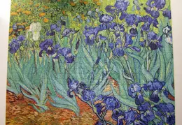 Puzzles 20100918 Van Gogh Irises 02