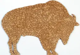 large bison-back-11x17