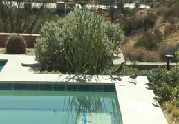 Quail Family Drinking 20260601 5