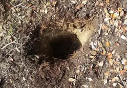 20171202 102620