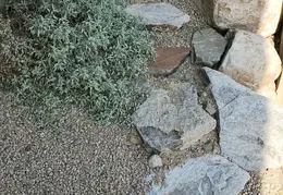 Rock Work 20250824 07
