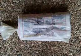 SF Chronicle Delivery 20170122 3