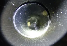 Sewer Clog 20140728 1