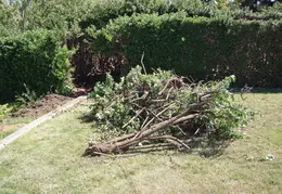 Sprinkler Repair Sept 2011 16