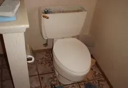 Toilet Retrofitting March 2010 0000a