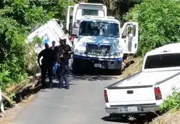 USPS Truck Ridge Park Lane 04