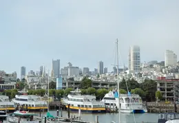 Angel Island Backpack REI July 2018 018