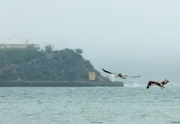 Angel Island Backpack REI July 2018 043