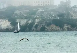 Angel Island Backpack REI July 2018 046