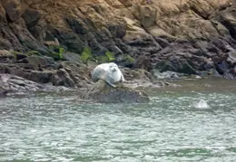 Angel Island Backpack REI July 2018