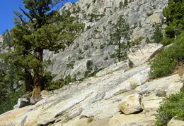 Desolation Wilderness Lake Aloha Backpacking October 2015 013
