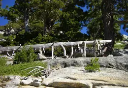 Desolation Wilderness Lake Aloha Backpacking October 2015 014