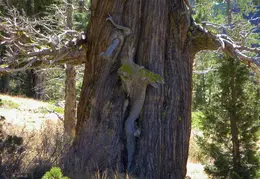 Desolation Wilderness Lake Aloha Backpacking October 2015 030